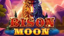 Bison Moon