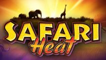 Safari Heat